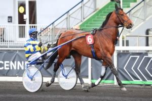 ceplemaire|MINARIK PMU .